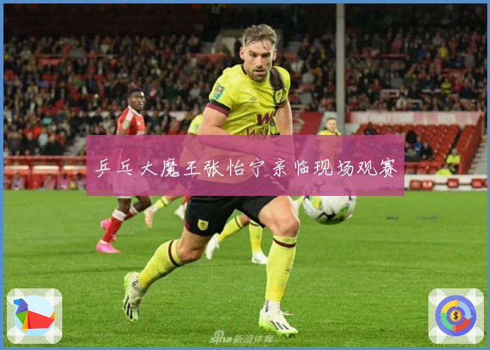 乒乓大魔王张怡宁亲临现场观赛